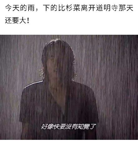 雨下好大|雨下的好大作品集